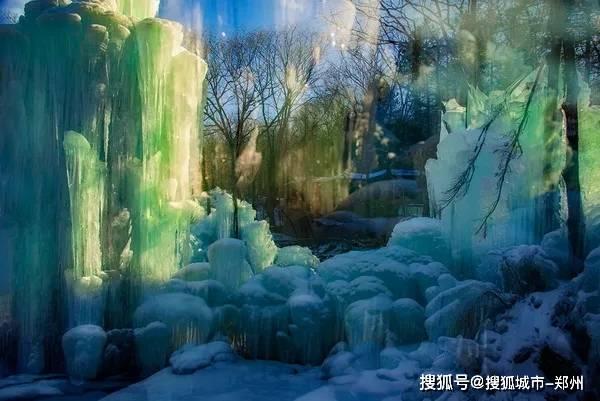为什么别人装可怜都有人同情他,我也装可怜但大家都觉得我很闹挺?-知识星球平台,探索无限智慧之旅